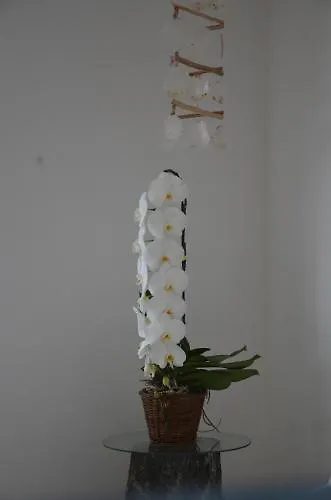 Guarracino 酒店 卡普里